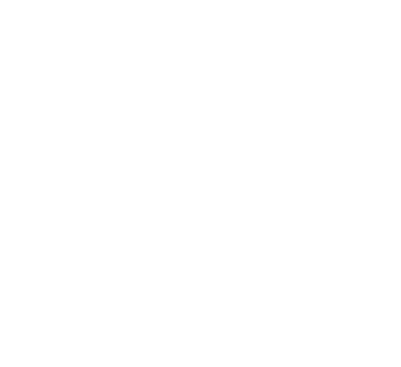 THE REHAB MECHANICS